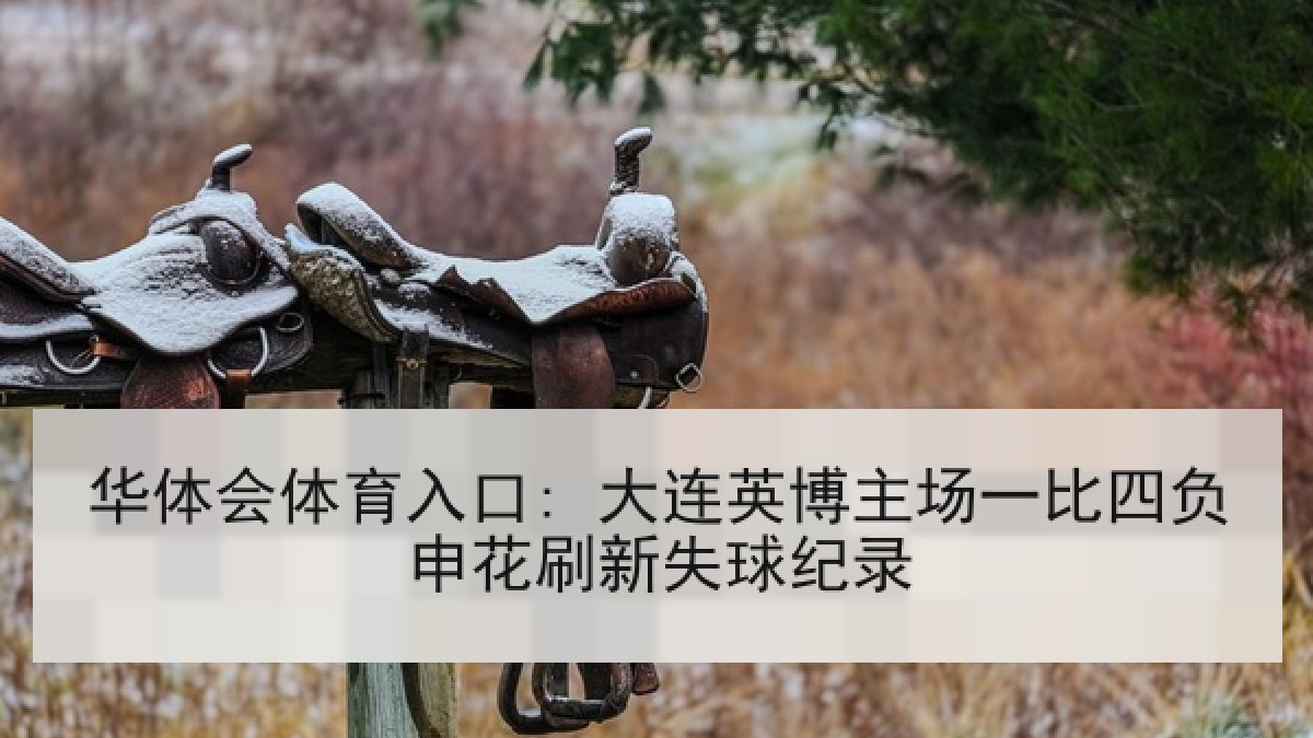 华体会体育入口: 大连英博主场一比四负申花刷新失球纪录