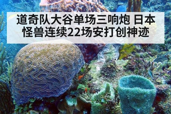 道奇队大谷单场三响炮 日本怪兽连续22场安打创神迹